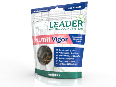 Leader Nutri- Vigor Hip & Joint with Salmon - Przysmaki funkcyjne dla psów BIODRA & STAWY z łososiem 130g